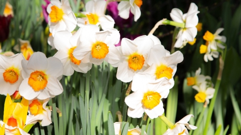 СП Добиваю недовязы 5/2026 Отчёт 15 с Мариной Стоговой