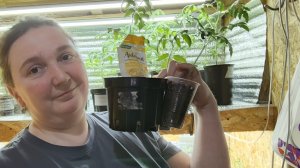 Страсти по оэдеме,удобрениям,гидропонике,освещению и т.д. Отвечаю на комментарии