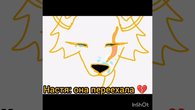 💔💔💔💔💔💔💔💔💔💔💔