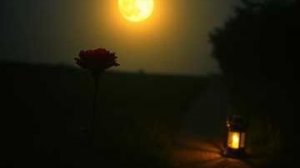 Ты заметишь меня