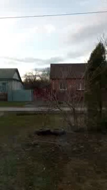 Вся травля за день