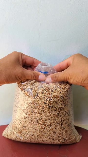 Close Bag With A Water Bottle Diy.