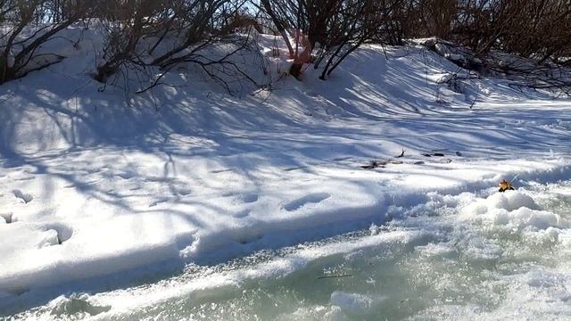 В туман на любимую речку, закрытие последний лёд.