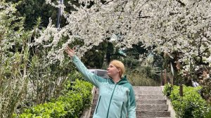 Ялта расцветает, весна в городе счастья