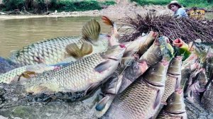 Традиционные методы рыбной ловли. Ловлю рыбу в половодье. Продаю рыбу на рынке. Жизнь во Вьетнаме