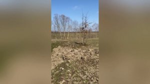 video-output-CC22FA20-FB5E-4F2C-B3C3-46E6A51A74A0-1