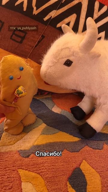 Пухляш принёс конфетку, но хочет сам её скушать