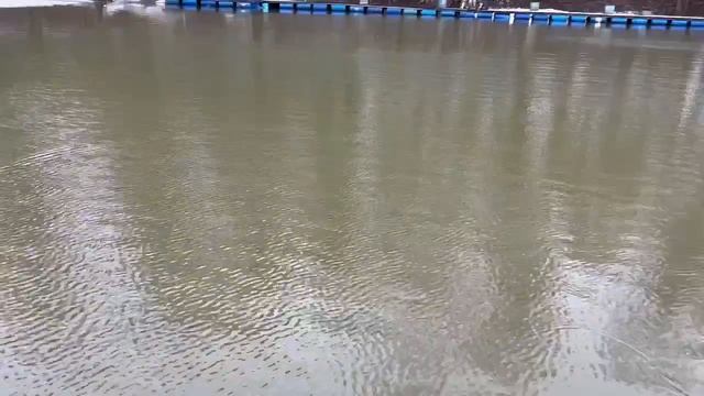 10.04.26 г. РК Волна.