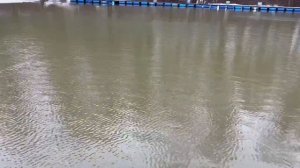 10.04.26 г. РК Волна.