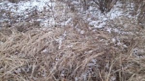 ВОТ ЭТО КЛЁВ КАРАСЬ ЖЕСТЬ