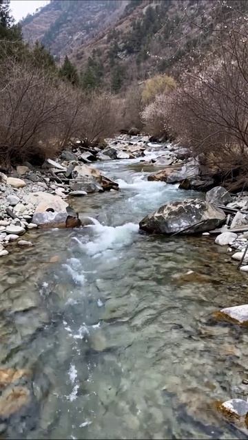 Уютный ручей в горах #природа #пейзаж #спокойствие