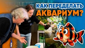 Аквариумные истории из ЭКЗОМЕНЮ (10.04.2026). Как переделать аквариум?