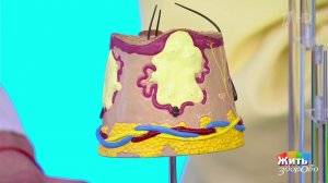 Лечение прыщей: то, что действительно работает. Жить здорово! Фрагмент выпуска от 10.04.2026