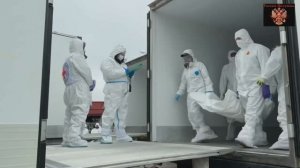 🔴Россия передала Окраїне 1000 тел заземлённых укронацистов и получила 41 тело Российских бойцов.🔴