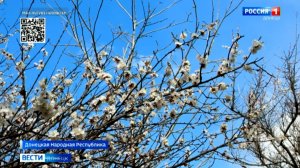 Аграрии приступили к полевым работам на неделю раньше по сравнению с прошлым годом