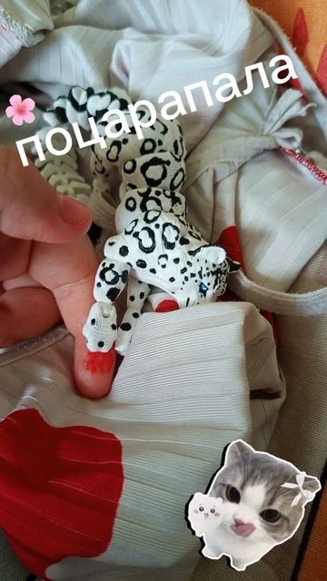 поцарапала