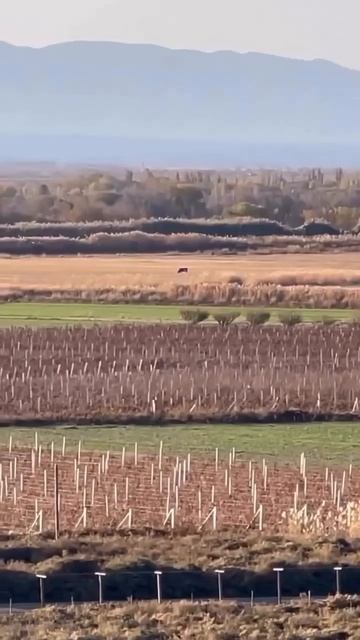 сама не знаю