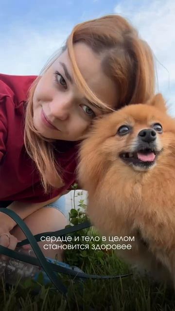 Как обычная игрушка может продлить жизнь питомцу ⬇️