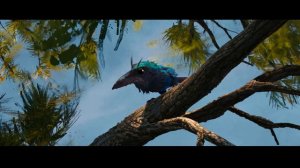 Отрывок из мультфильма «Дикий Робот»