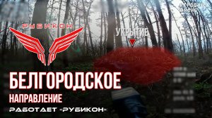 Белгородское направление. Работает Центр «Рубикон». Уничтожены системы связи и ПВД