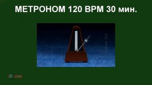 МЕТРОНОМ 120 BMP 30 мин. ДЛЯ ЗАНЯТИЙ