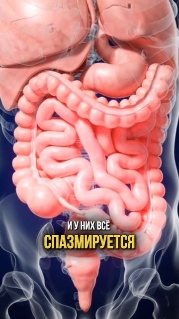 Напишите слово «Пузырь» в комментариях и я пришлю вам видео, рассказываю об эффективных привычках