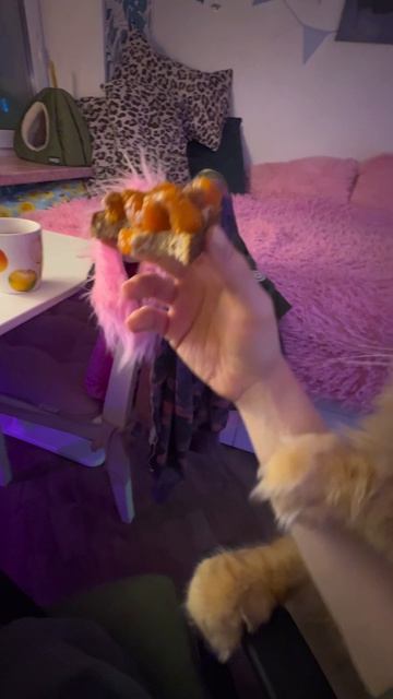 Завели бы такого?🩷