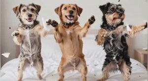 МИЛЫЕ СОБАКИ | ИИ АНИМАЦИЯ | ПРИКОЛЫ ПРО ЖИВОТНЫХ | РАЗВЛЕКАТЕЛЬНОЕ ВИДЕО