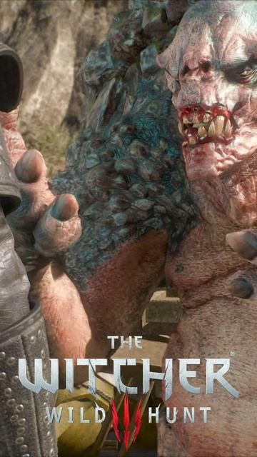 Лодки охраняют лодки. Доброволец Тролль Трололо  The Witcher 3 - Wild Hunt