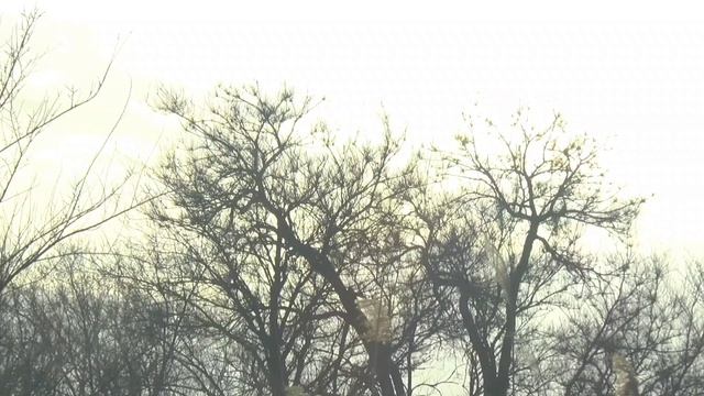 РЫБАЛКА НА ПОПЛАВОК! Открытие сезона на малой речке!