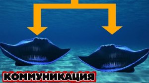 Древние КОММУНИКАЦИИ Эль Гран Майя