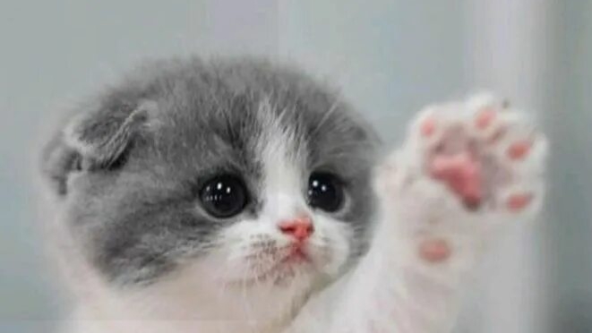 10-04-2026ПРОВЕРКА РАЗ РАЗ РАЗ