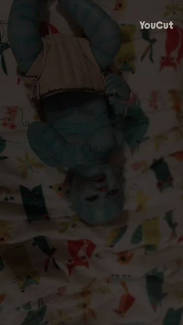 вот фотосъёмки