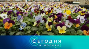 «Сегодня в Москве»: 10 апреля 2026 года