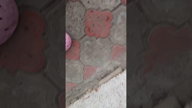 Как  изменчива погода