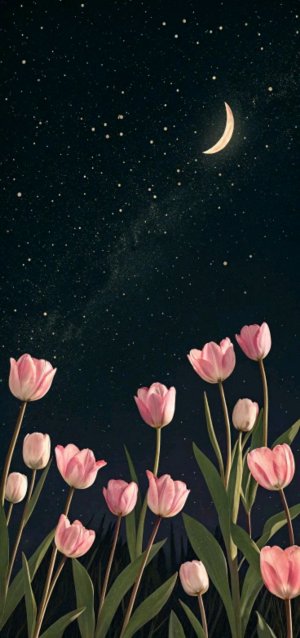 ЗАХОДИТЕ НА ЭФИР
❗❗ДЕЛАЮ АКТИВ В ЛАЙКЕ❗❗
❗❗ДАРЮ СЛ❗❗