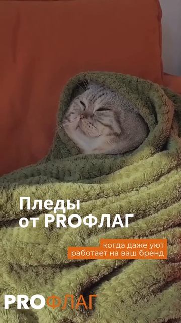 Иногда достаточно предложить гостю брендированный плед👌