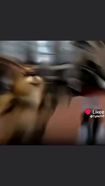 ну вот так вот