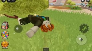 Аквапарк Ragdoll в Roblox