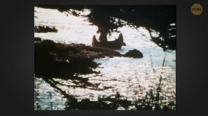 Корпорации запретили повседневные вещи, чтобы контролировать вас