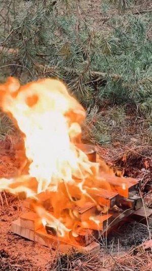 Как зубами открыть банку тушенки #выживалово