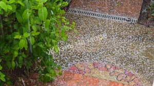 Зима борется с весной, вот такой град у нас с утра сегодня в Геленджике 😁