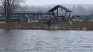 поимка форели