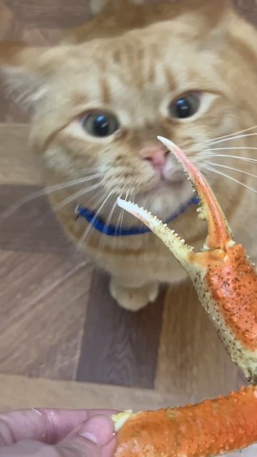 Как вам такие пословицы? ☺️