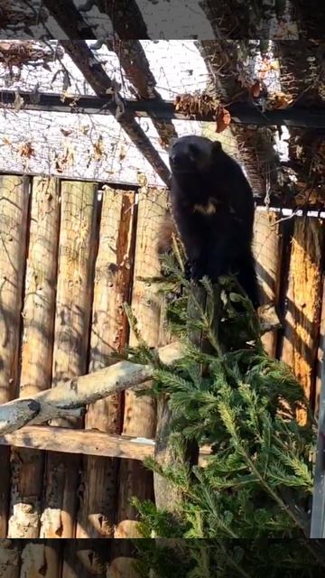 ВЕСЕННЯЯ МАГИЯ: ДАЖЕ САМЫЕ СКРЫТНЫЕ ВЫХОДЯТ НА СОЛНЫШКО!