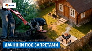 За что дачник может получить штраф?