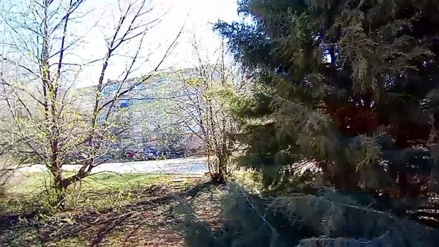 ВЕСНА В РАЗГАРЕ