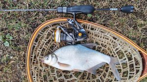 МОРМЫШИНГ. 7 апреля 2026 года