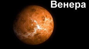 Венера