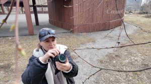 Прогулка. В поисках зеленушки...